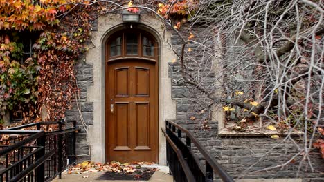 Wooden-door.