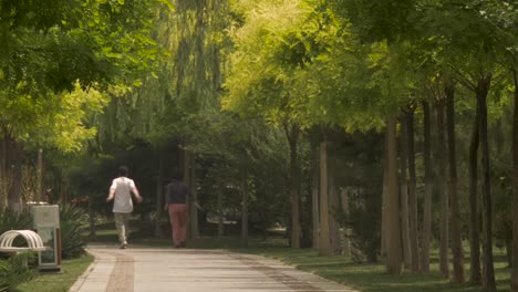 Gente-caminando-y-ejercite-en-China-Park