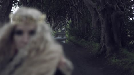 4k-Fantasy-Shot-in-Dark-Hedges-of-a-Queen-(-close-up,-focus-changing)