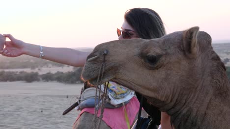 Taking-a-selfie-with-camel-in-desert