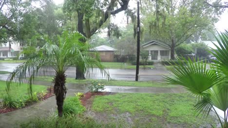 Irma-Hurrikanschäden-im-historischen-Zentrum-von-Lake-Eola-Höhen-Nachbarschaft-Orlando-Florida