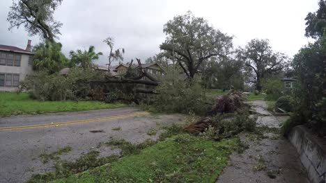 Irma-Hurrikanschäden-im-historischen-Zentrum-von-Lake-Eola-Höhen-Nachbarschaft-Orlando-Florida