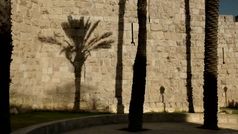 palm-shadow-on-the-wall-of-the-old-city-in-jerusalem