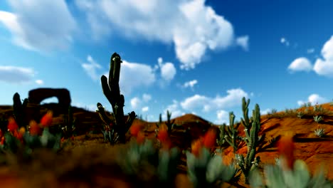 Saguaro-Cactus-en-el-desierto-contra-nubes-de-timelapse,-4K