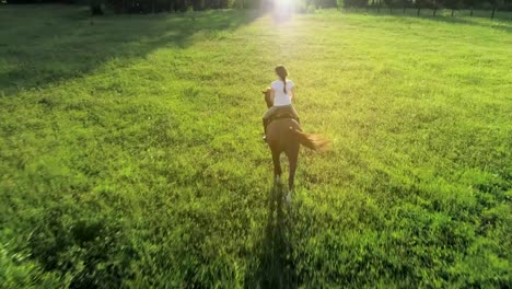 A-slim-woman-rides-a-brown-horse-with-her-back-to-the-camera,-slow-motion-video