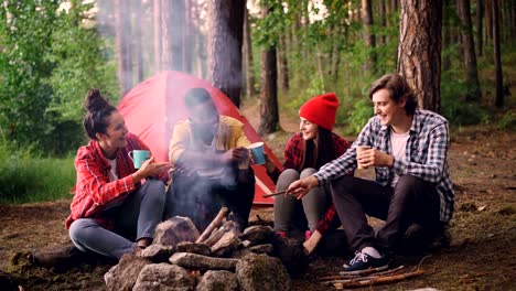 Cinemagraph-loop---multiethnic-group-of-friends-girls-and-guys-are-sitting-in-forest-around-fire-with-drinks-clinking-glasses-and-smiling,-smoke-is-going-up.