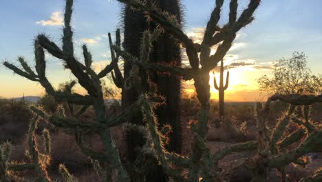 Scottsdale-Arizona-desert-sunset