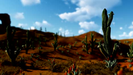 Saguaro-Cactus-in-Desert-against-timelapse-clouds,-camera-panning,-zoom-out