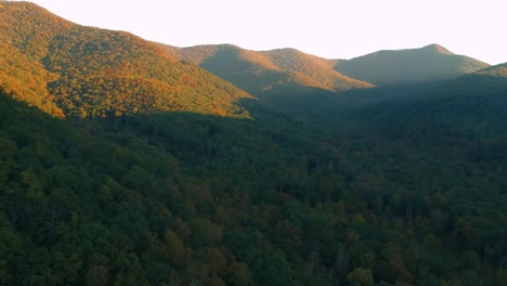 Luft-Drohnenansicht-des-Herbst--/-Herbstblattlaubs-auf-dem-Highway-215-von-oben.-Lebendige-gelbe,-orange-und-rote-Farben-in-Asheville,-NC-in-den-Blue-ridge-Mountains.