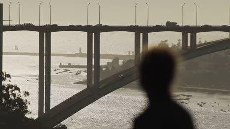 High-bridge-in-Porto