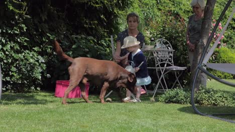 Niño-en-patio-trasero-con-familia-y-perro