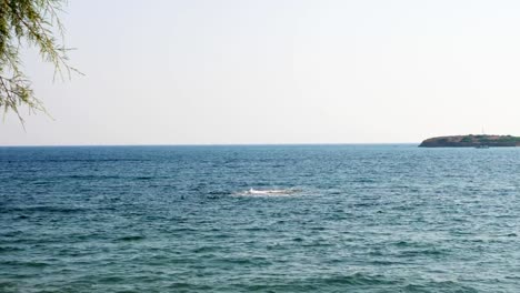 un-paisaje-marino,-una-ola-suave-rompe-en-un-arrecife-frente-a-la-costa,-dando-la-impresión-de-un-fenómeno-misterioso