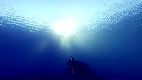 Freediver-die-die-Strahlen-der-Sonne-von-Unterwasser