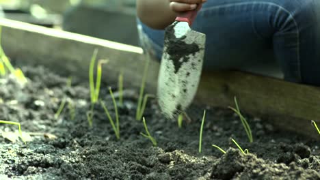 Niñas-utiliza-horquilla-a-planta-verduras