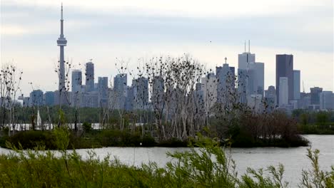 Toronto-skyline-form-the-island