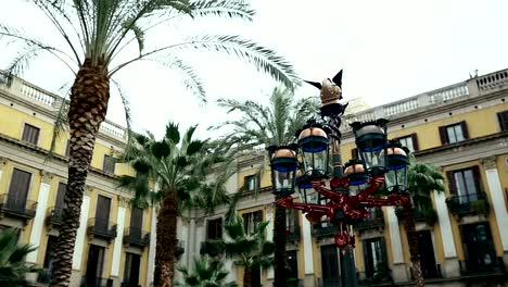 Leaves-of-Palm-Trees-on-Background-of-Old-Houses