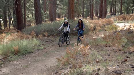 Pareja-de-lesbianas-alta-cinco-mientras-que-montar-en-bici-en-un-bosque