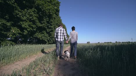 couple-in-love-walk-the-dog