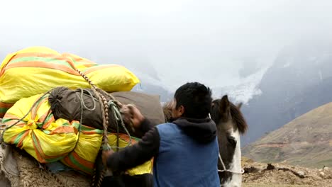 Quechua-Mann-laden-Pferd.