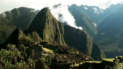 Machu-Picchu-und-Wilde-Orchideen-an-einem-nebligen-Morgen