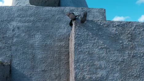 Seven-year-old-boy-climbs-on-the-pedestal-of-the-monument.-Parkour-in-town.