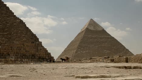 Pferdekutsche-und-die-Pyramide-des-Chephren-in-der-Nähe-von-Kairo,-Ägypten