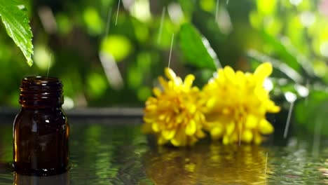 Mischung-aus-ätherischen-Ölen-mit-Wassertropfen,-Düfte-und-Aromen-in-der-Aromatherapie-für-Wellness-und-Spa.-Konzept-der-Schönheit.-Duftende-ätherische-Öl.-Essenz-Tropfen-fallen-von-einem-Blatt-in-Pool-im-Wellness-center