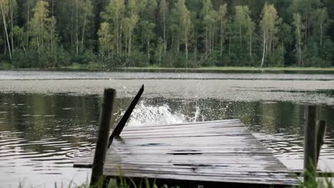 Caucasian-mature-man-jumping-from-wooden-pier-in-lake.