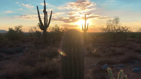 Scottsdale-Arizona-Wüste-Sonnenuntergang