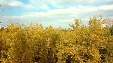 Suburban-Draufsicht-des-schönen-Bäumen-tagsüber-bewölkt-Herbst