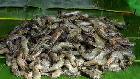 Pile-of-shrimps-for-sale-at-seafood-market