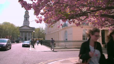 City-street-corner-in-spring,-Marylebone,-London