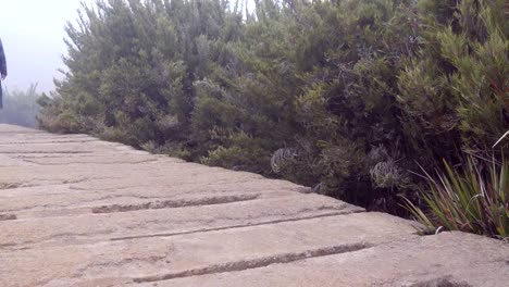 Young-female-tourist-with-backpack-walking-on-stone-bridge-outdoor.-Legs-of-woman-going-on-rocky-trail-at-beautiful-nature.-Girl-stepping-at-mountains-during-travel.-Healthy-lifestyle.-Close-up