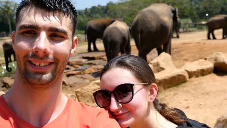 Joven-pareja-sonriente-haciendo-selfie-foto-con-los-elefantes-en-un-entorno-de-reserva-en-Sri-Lanka