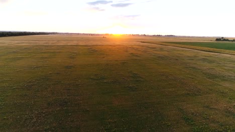 Luftbildaufnahmen-von-wheaten-goldenes-Feld-bei-Sonnenuntergang