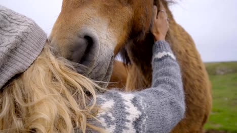 Blond-hair-girl-in-Iceland-petting-Icelandic-horse-in-green-meadow.-Shot-in-Springtime,-overcast-sky,-woman-wearing-Icelandic-grey-wool-pullover.-People-travel-animal-affection-concept--4K
