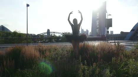 Ballerina-Dancing-in-a-Roundabout