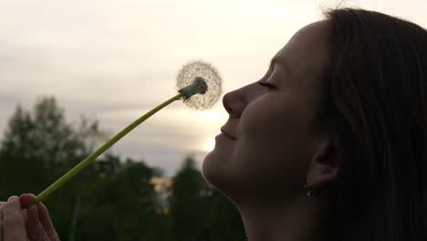 Woman-enjoy-fluffy-dandelion-flower