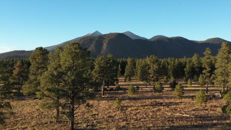 Vista-impresionante-abejón-aéreo-de-Buffalo-park-y-pico-de-Humphrey,-Flagstaff,-Arizona,-USA