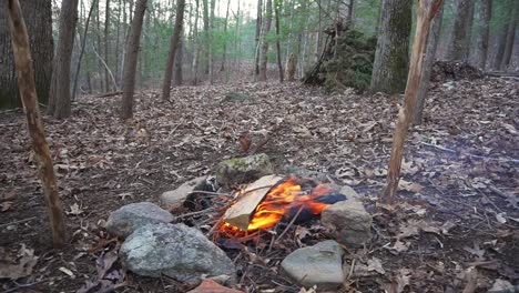 Man-builds-campfire-to-cook-pot-over-fire.-Essential-Bushcraft-/-Survival-skill.-Primitive-debris-hut-shelter-at-the-camp-site.-Camping-overnight-in-the-blue-ridge-mountains-of-North-Carolina