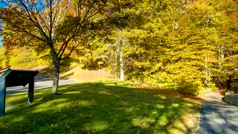 Herbst-Farben-am-Beginn-Grandfather-Mountain-Viadukt-Prozess