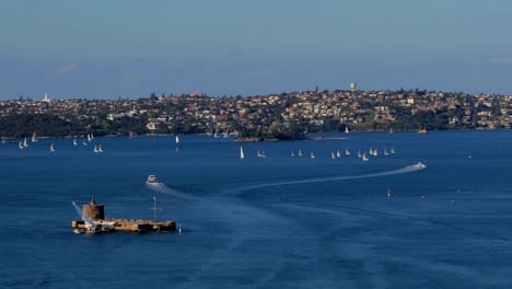 Regatta,-Sydney-Harbour,-Fort-Denison-timelapse
