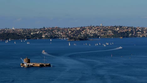 Regatta,-del-Puerto-de-Sídney,-Fort-Denison-timelapse