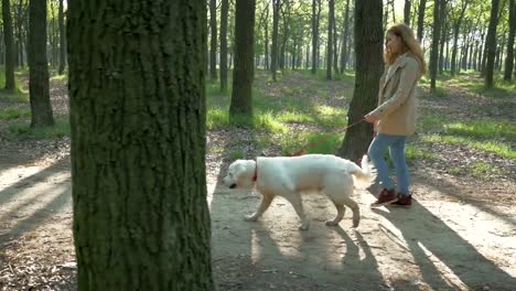 Girl-with-dog-walking-in-park-in-one-spring-day,-slow-motion