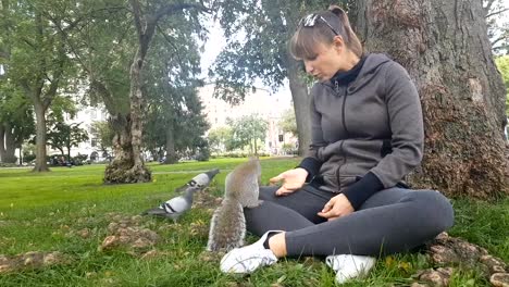 CLOSE-UP:-Ardilla-salvaje-toma-alimento-de-manos-de-la-muchacha-en-el-parque-Boston-Common,-Estados-Unidos