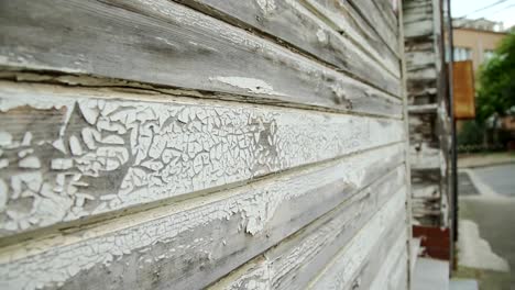 Elegante-madera-de-la-pared-de-la-mansión-en-la-isla