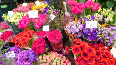 Vistazo-de-las-flores-frescas-para-la-venta-en-Amsterdam