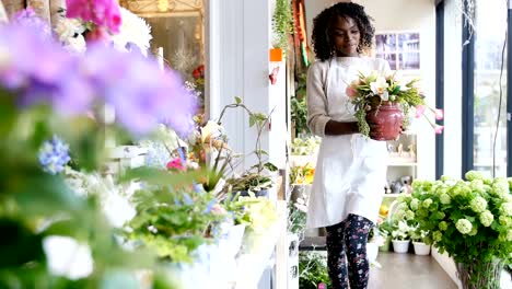 Florist-with-pot-flower-walking-in-flower-shop-4k