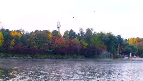 Nami-Insel-im-Herbst-Südkorea