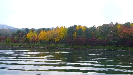 Nami-Insel-im-Herbst-Südkorea